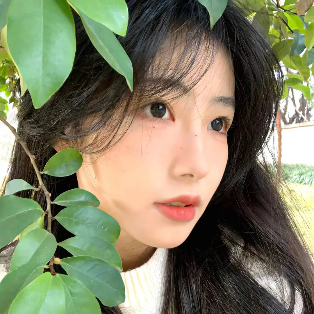 少年菀得
